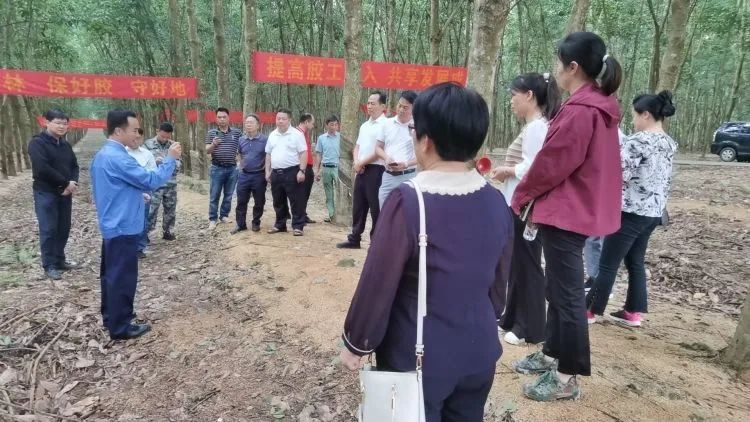全國割膠冠軍張健給各單位學員做標準化膠園建設(shè)及割膠技術(shù)的經(jīng)驗介紹。.jpg